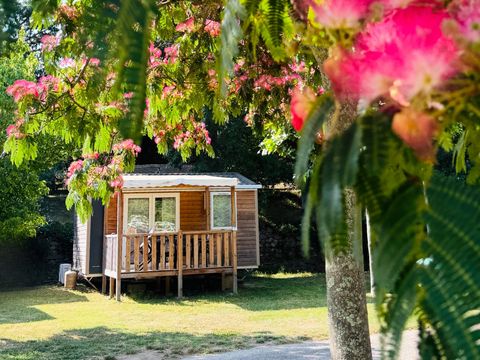 Camping Amélia - Camping Pyrénées-Orientales - Image N°2