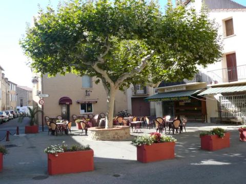 Camping Fagamis L'oasis - Camping Pyrénées-Orientales - Image N°26