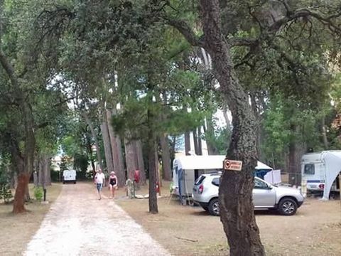 Camping Fagamis L'oasis - Camping Pyrénées-Orientales - Image N°9