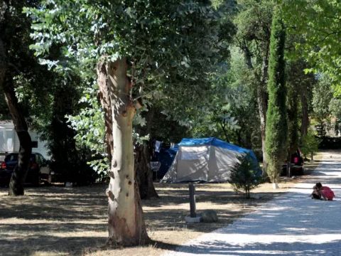 Camping Fagamis L'oasis - Camping Pyrénées-Orientales - Image N°14