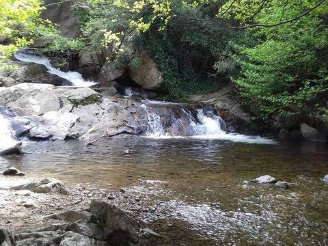 Camping Fagamis L'oasis - Camping Pyrénées-Orientales - Image N°22