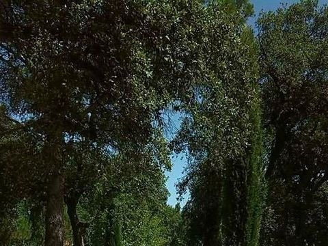 Camping Fagamis L'oasis - Camping Pyrénées-Orientales - Image N°19