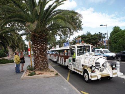 Camping de Pujol - Camping Pyrénées-Orientales - Image N°6