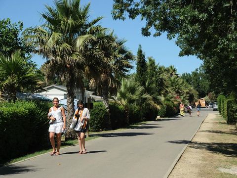 Camping Les Marsouins - Camping Pyrénées-Orientales - Image N°20