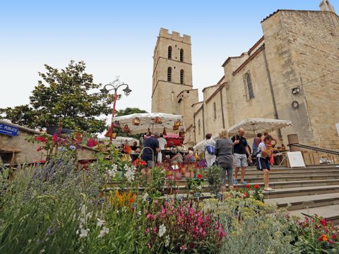 Camping Les Marsouins - Camping Pyrénées-Orientales - Image N°56