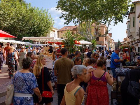 Camping l'Etoile d'Or - Camping Pyrénées-Orientales - Image N°56