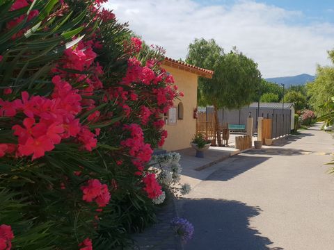 Camping Le Reve Des Iles - Camping Pyrénées-Orientales - Image N°11