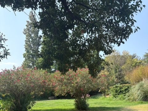 Camping Le Haras - Camping Pyrénées-Orientales - Image N°24
