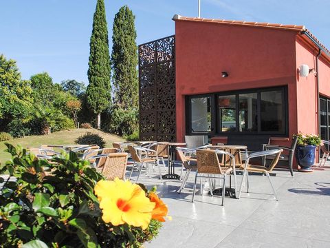 Camping Le Haras - Camping Pyrénées-Orientales - Image N°4