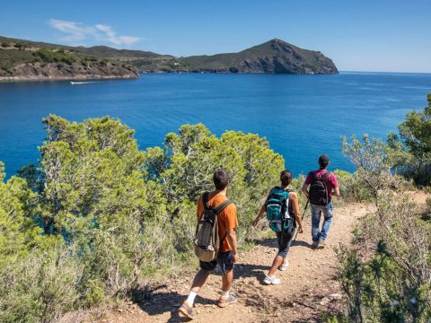 Camping Le Haras - Camping Pyrénées-Orientales - Image N°12