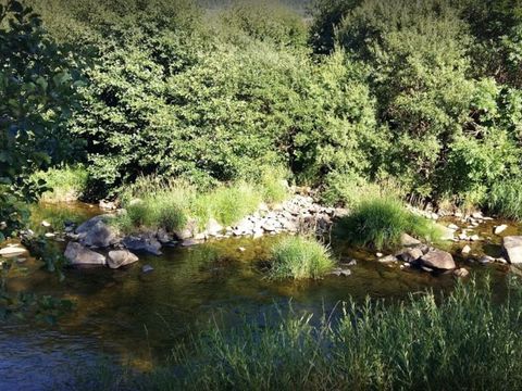 Camping La Cigale de l'Allier - Camping Lozere - Image N°19