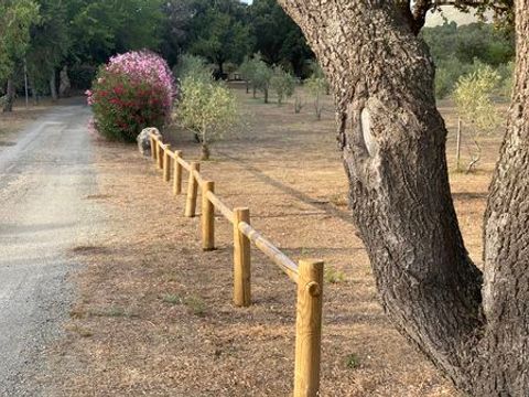 Camping Clos Des Chenes - Camping Corse du Nord - Image N°3