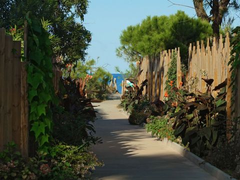 Camping San Damiano - Camping Corse du Nord - Image N°6