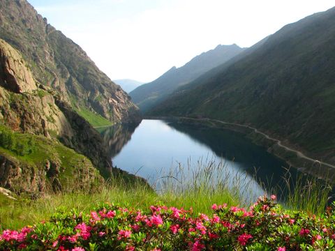 Flower Camping La Bexanelle - Camping Ariège - Image N°30