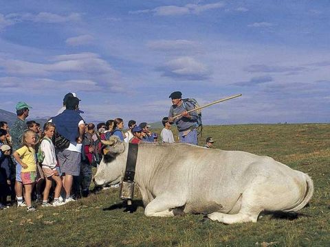 Camping Le Pas De L'ours - Camping Ariège - Image N°31