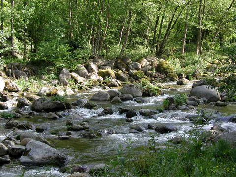Camping Village de Chalets Le Pas de l'Ours - Camping Ariège - Image N°11