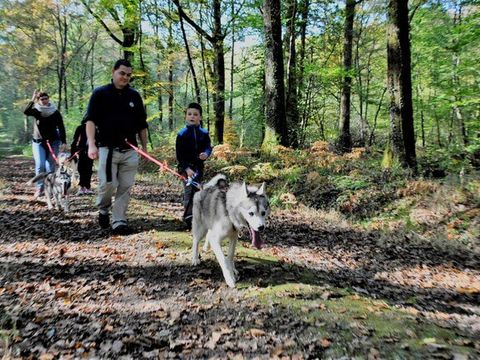 Camping Le Pas De L'ours - Camping Ariège - Image N°30