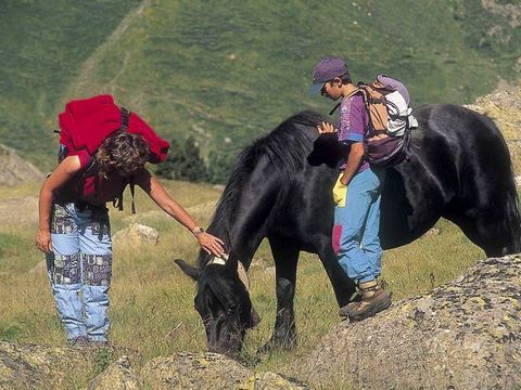 Camping Le Pas De L'ours - Camping Ariège - Image N°29