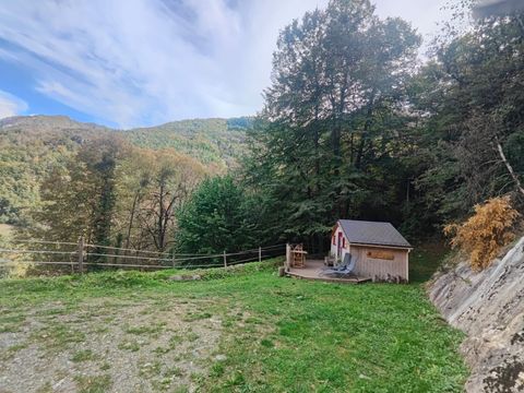 Tiny house 2 personnes - Cabane Forestière