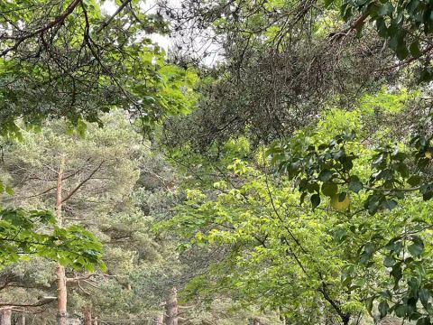 Camping La Cremade - Camping Aude - Image N°15