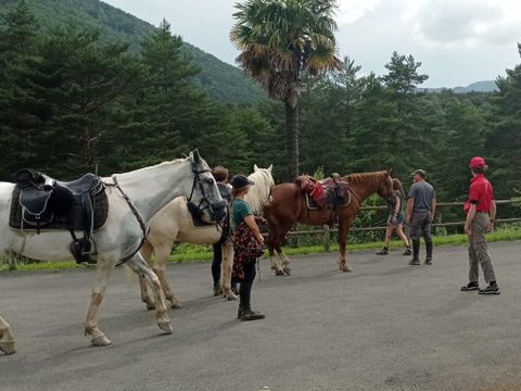 Camping La Cremade - Camping Aude - Image N°6