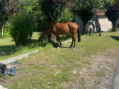 Camping La Cremade - Camping Aude - Image N°14