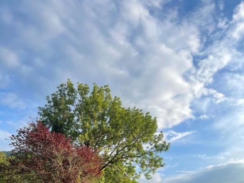 Camping La Cremade - Camping Aude - Image N°16