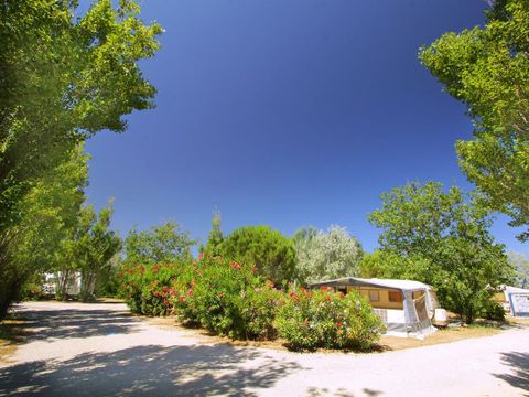 Camping Rives des Corbières - Camping Aude - Image N°33