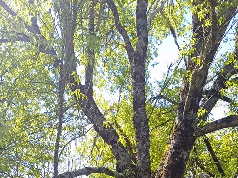 BUNGALOW 4 personnes - Bungalow semi toilé 2 chambres