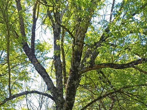 BUNGALOW 4 personnes - Bungalow semi toilé 2 chambres