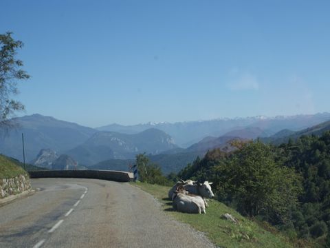 Camping La Régate - Camping Ariège - Image N°26