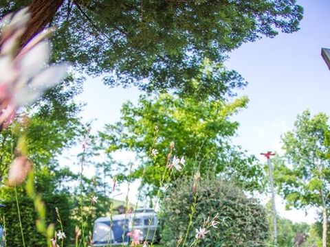 Emplacement - Forfait Nature : Emplacement + voiture + tente/caravane ou camping-car