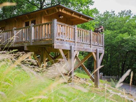 Hébergement 5 personnes - CABANE dans les arbres 24m² / 1 chambre - terrasse couverte