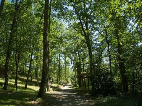 CHALET 6 personnes - Chalet GREEN 35m² / 2 chambres - terrasse