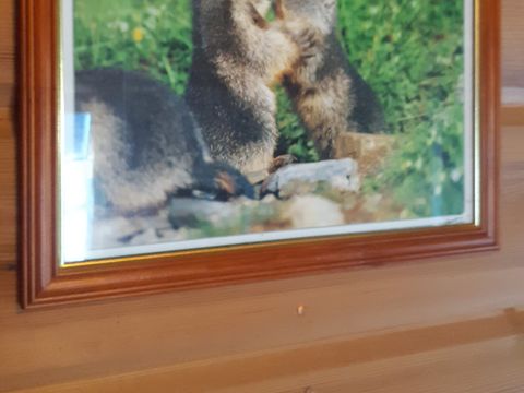 CHALET 4 personnes - chalet des marmottes