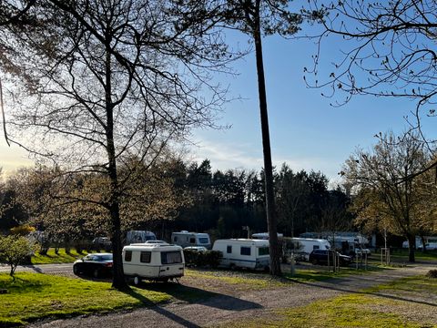 Domaine du Château-Epinal - Camping Vosges - Image N°13