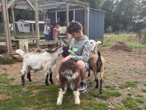 Camping A l'Ombre des Tilleuls - Camping Hautes-Pyrénées - Image N°39