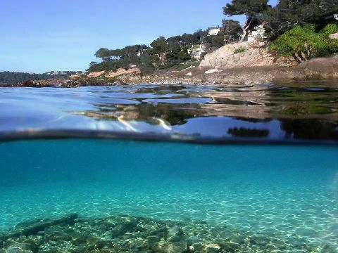 Camping L'Hermitage - Camping Var - Image N°26