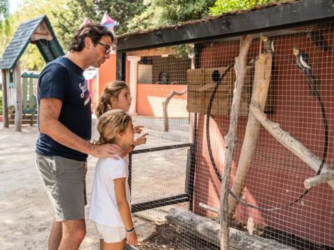 Camping L'Hermitage - Camping Var - Image N°29