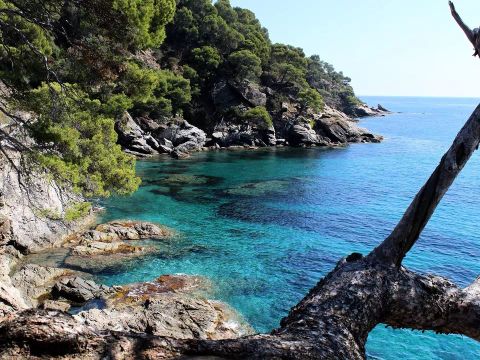Camping L'Hermitage - Camping Var - Image N°16