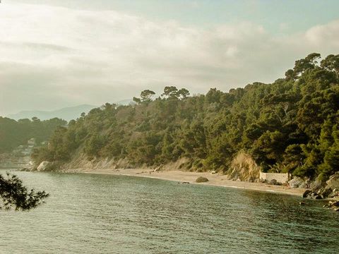 Camping L'Hermitage - Camping Var - Image N°15