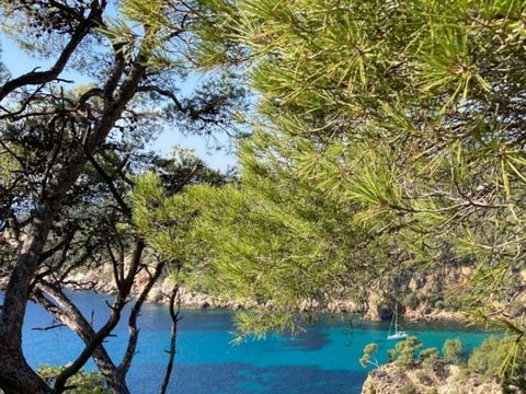 Camping Saint Jean - Camping Var - Image N°14