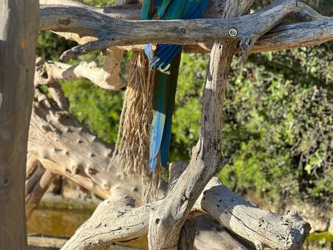 Camping Parc des Fontanettes - Camping Var - Image N°33