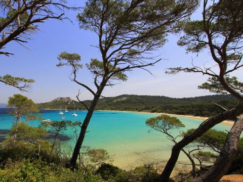 Camping Port Pothuau - Camping Var - Image N°63