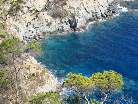 Camping Le Port Pothuau - Camping Var - Image N°15
