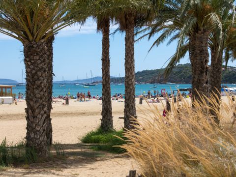 Camping Le Parc de Bormes - Camping Var - Image N°10