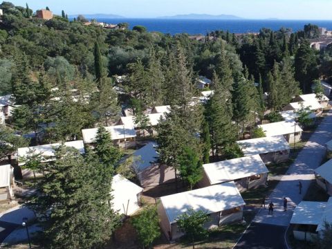 Camping Les Mimosas - Camping Var - Image N°11