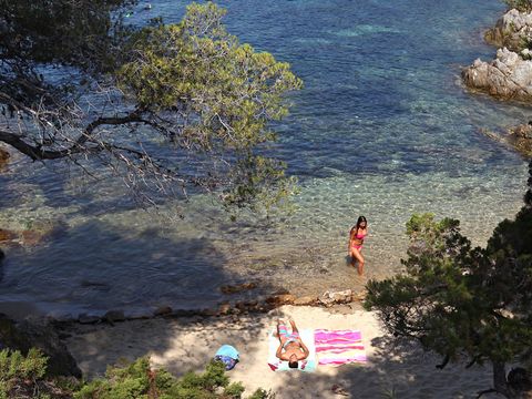 Camping Les Mimosas - Camping Var - Image N°16