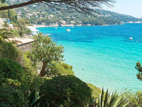 Camping Les Mimosas - Camping Var - Image N°15