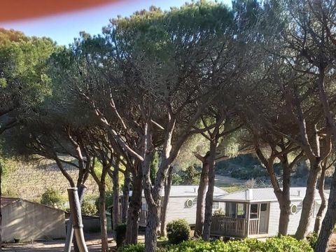 Camping Ushuaïa Villages Figurotta - Camping Aude - Image N°10